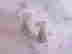item-108528274=2