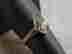 item-108731322=2