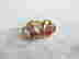 item-110553806=2