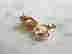 item-110553806=3