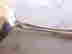 item-113456619=5