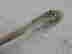 item-113456778=2