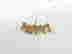 item-113927563=3