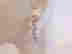 item-113927609=2