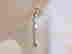 item-117060246=2