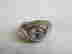 item-119535764=2