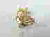 item-119536239=2