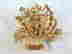 item-119911582=2