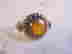 item-119912751=3