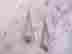 item-119913351=3