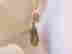 item-119913460=2