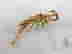item-127186851=2