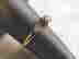 item-127609190=2