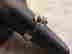 item-127609435=2