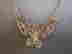 item-127609819=2