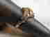 item-127609995=2
