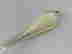item-128013411=2