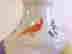 item-128013415=4