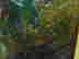 item-128013550=4