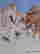 item-128013608=2