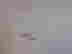 item-128013608=4