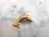 item-128013982=2