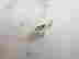 item-128014037=2