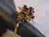 item-128014041=2