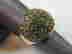 item-128014097=2