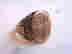 item-128980198=4