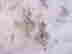 item-128980842=3