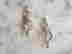 item-128980842=4