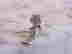 item-128980859=3