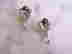 item-128980859=4