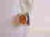 item-128980965=2