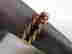 item-128981045=2
