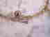 item-128981307=3