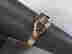 item-129258738=2