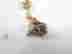 item-129443096=2