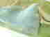 item-129743427=4