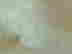 item-129743427=8