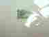 item-129743430=4