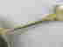 item-129743525=5