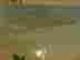 item-129743533=6