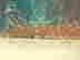 item-129743541=4