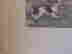 item-129743565=6