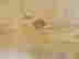 item-129743628=4