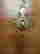 item-129743628=8