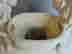 item-129743649=4