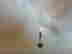 item-129743649=8